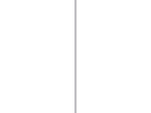 Afdekprofiel 30x2 mm 200cm grijs