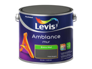 Levis Ambiance peinture murale extra mat 2,5l magma
