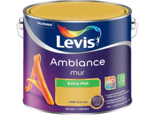 Levis Ambiance peinture murale extra mat 2,5l true joy