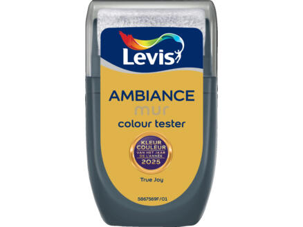 Levis Ambiance testeur peinture murale extra mat 30ml true joy