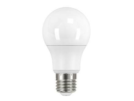 Prolight Ampoule LED poire E27 4W blanc chaud 2 pièces 1