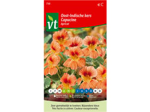 VT Apricot Oost-Indische kers