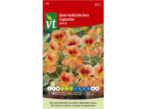 VT Apricot capucine