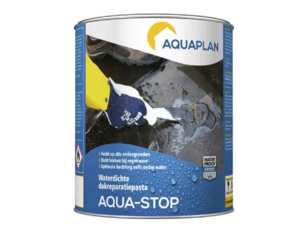 Aquaplan Aqua-Stop pâte de réparation 1kg 1