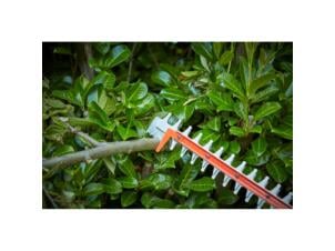 Black+Decker BCHTS3625L1-QW Powercommand taille-haies sans fil 36V Li-Ion 55cm