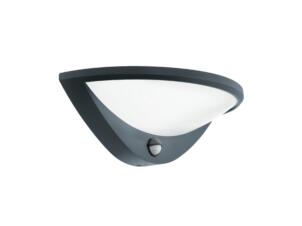 Eglo Belcreda applique murale extérieure LED 9,3W avec capteur anthracite