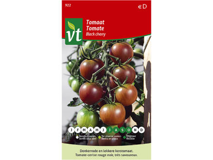 VT Black Cherry tomaat 1