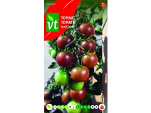 VT Black Cherry tomaat