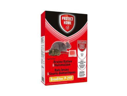 Protect Home Broditec P-29F pasta tegen bruine ratten en huismuizen 1