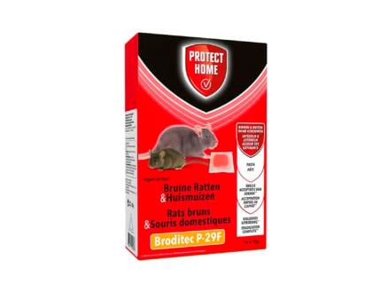Protect Home Broditec P-29F pâte anti-rats bruns & anti-souris domestiques 1