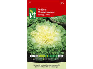 VT Bubikopf 2 Perlita andijvie