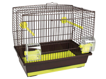 Flamingo Buru cage pour oiseaux citron vert 1