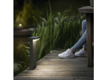 Philips Bustan LED sokkel 2x4,5 W 40cm dimbaar antraciet 1