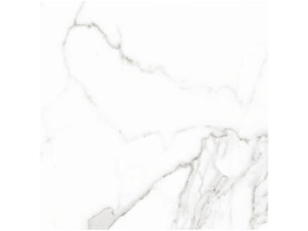Calacatta Blanco vloertegel 60x60 cm 1,44m² wit 1