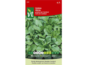 VT Cambrai groene veldsla