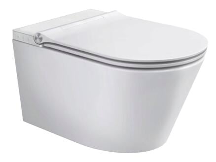 Schutte Cesari Japans toilet soft close