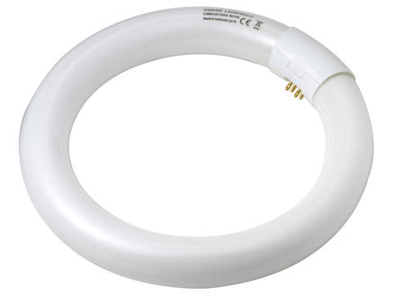 Osram Circline tube néon T9 22W 216mm blanc froid 1