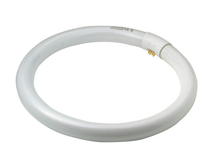 Osram Circline tube néon T9 32W 305mm blanc froid 1
