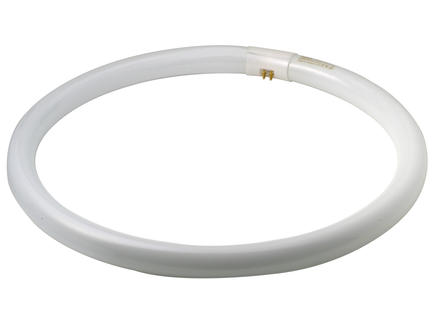 Osram Circline tube néon T9 40W 406mm blanc froid 1