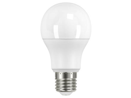 Prolight Classic ampoule LED poire E27 11,6W dimmable 1