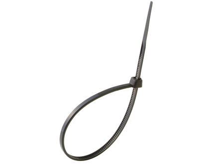 Profile Collier serre-câble 150x2,5 mm noir 100 pièces 1