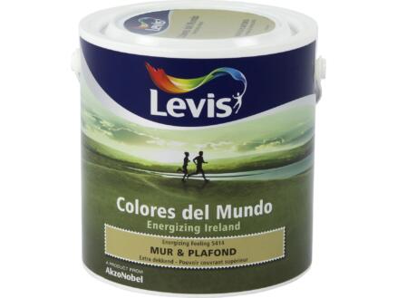 Levis Colores muur- en plafondverf mat 2,5l energizing feeling 1