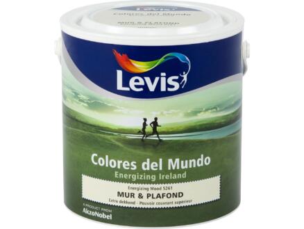 Levis Colores muur- en plafondverf mat 2,5l energizing mood 1