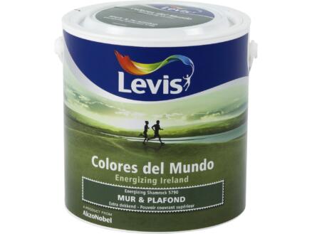 Levis Colores muur- en plafondverf mat 2,5l energizing shamrock 1