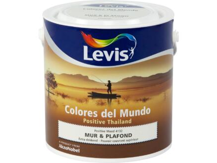 Levis Colores muur- en plafondverf mat 2,5l positive mood 1