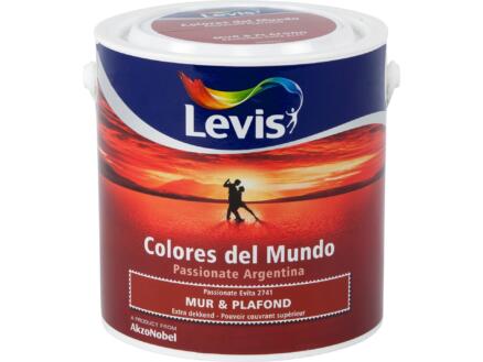 Levis Colores peinture mur & plafond mat 2,5l energizing evita 1