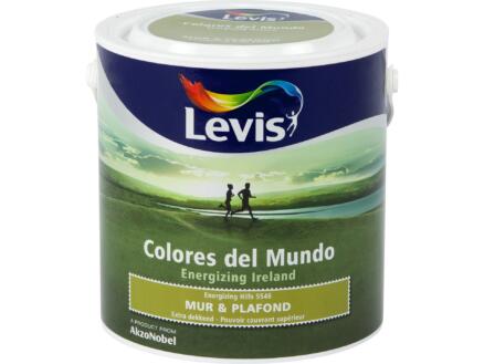Levis Colores peinture mur & plafond mat 2,5l energizing hills 1