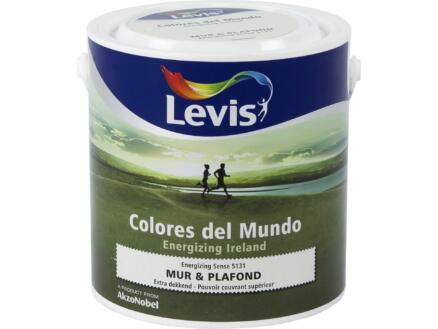 Levis Colores peinture mur & plafond mat 2,5l energizing sense 1