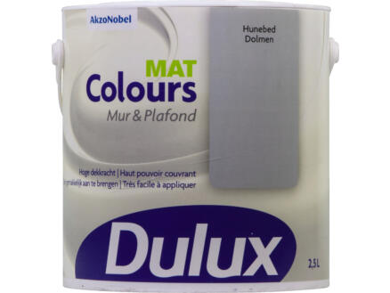 Dulux Colours muur- en plafondverf mat 2,5l hunebed 1