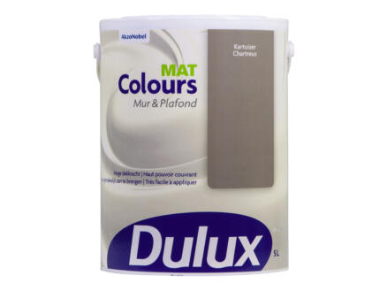 Dulux Colours peinture mur & plafond mat 5L Chartreux 1