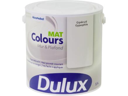 Dulux Colours peinture mur et plafond mat 2,5l gypsophile 1