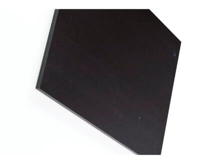 Compactplaat 305x130 cm 6mm zwart 1
