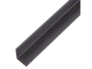 Cornière 20x20x1 mm 100cm aluminium anodisé noir