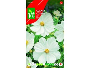 VT Cosmos blanc