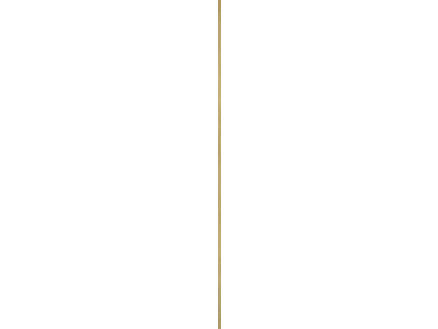 CanDo Decowall Acoustic profilé de finition 260cm chêne bronze