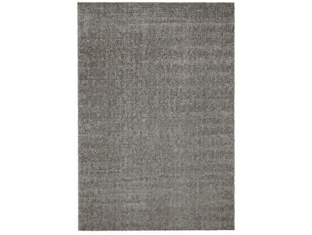 Dolce tapijt 160x230 cm grijs 1