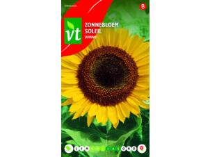 VT Domino zonnebloem halfhoog