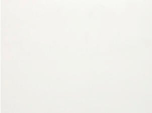 Dumaplast Dumapan Basic wandpanelen 260x25 cm 2,6m² 10mm grijswit