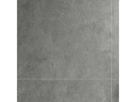Dumawall+ Dumawall+ wandpaneel 65x37,5 cm 1,95m² gepolierd beton lichtgrijs