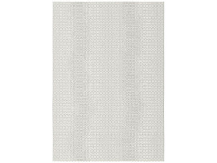 Balta Essenza tapis d'extérieur 160x230 cm gris clair 1