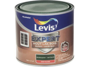 Levis Expert laque bois extérieur brillant 0,5l vert foncé