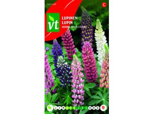 VT Festival lupine multicolor