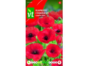 VT Flanders Poppy coquelicot