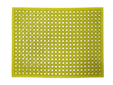Funky paillasson grattoir 48x62 cm citron vert 1
