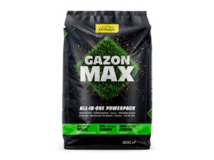 Ecostyle Gazon Max 10kg