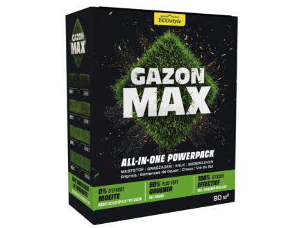 Ecostyle Gazon Max 4kg